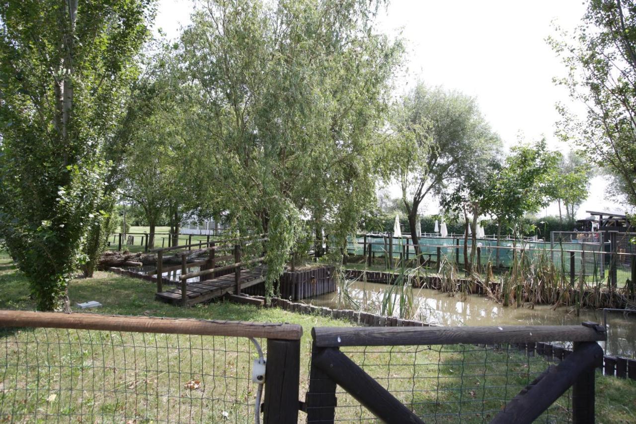 Agriturismo Casa Carpanelli Nonantola Buitenkant foto